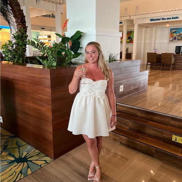 Sachin & Babi Sloane Taffeta Double-Bow Pleated Mini Dress size 8 - Picture 5 of 5